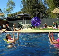 Kingston On Murray Caravan Park - Accommodation Georgetown
