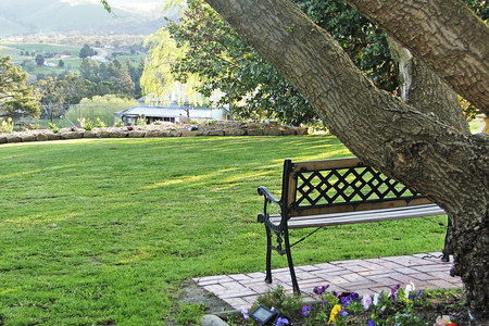 Omeo Motel - Accommodation Georgetown 5