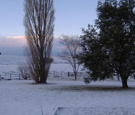 Snowy Mountains Motel - Accommodation Georgetown 1