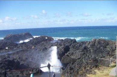 Kiama Ocean View Motor Inn - Accommodation Georgetown 1