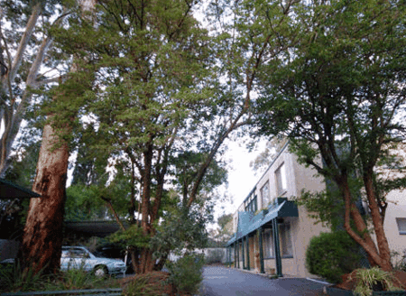 Adelaide Oakford Apartments - Accommodation Georgetown 0
