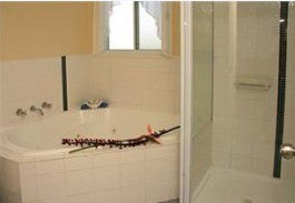 White Albatross Holiday Park - Accommodation Georgetown 3
