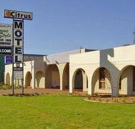 Citrus Motel - Accommodation Georgetown