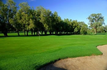 Golf Links Motel - Accommodation Georgetown 7