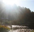 Blair Athol Estate - Accommodation Georgetown