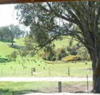 Hosanna Farm Retreat - Accommodation Georgetown
