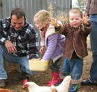 Linga Longa Farm Wingham - Accommodation Georgetown