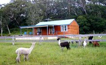 Moorallie Cottage Farm Stay - Accommodation Georgetown 0