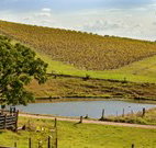 Sanctuary Hill Retreat - Accommodation Georgetown