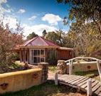 Starline Alpaca Farm Stay - Accommodation Georgetown