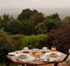 Barefoot Springs Bed and Breakfast - Accommodation Georgetown