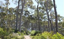 Lilli Pilli Beach Bed And Breakfast - Accommodation Georgetown 5