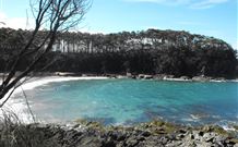 Lilli Pilli Beach Bed And Breakfast - Accommodation Georgetown 6