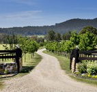 Pemberley Grange Hunter Valley Getaway - Accommodation Georgetown
