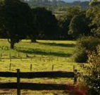 Pines on the Plateau - Accommodation Georgetown