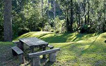 Coffs Coast Adventure Centre - Accommodation Georgetown 0