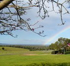 Pebble Bay Cottage - Accommodation Georgetown