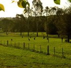 Stone Cottage Mittagong - Accommodation Georgetown