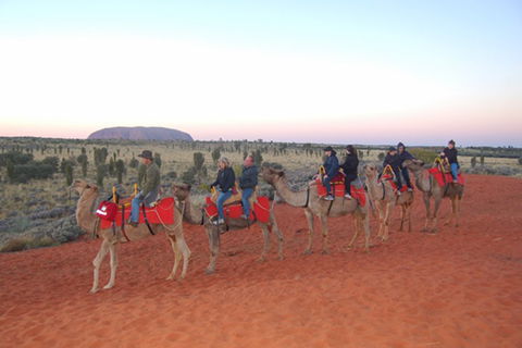 Ayers Rock - Outback Pioneer Lodge - Accommodation Georgetown 1