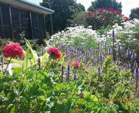 Eastwood Farm - Accommodation Georgetown 0