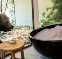 Jamala Wildlife Lodge - Accommodation Georgetown