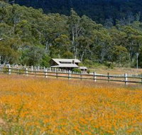 Pender Lea Alpine Guest Accommodation