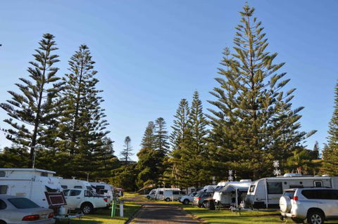 NRMA Port Macquarie Breakwall Holiday Park - Accommodation Georgetown 5
