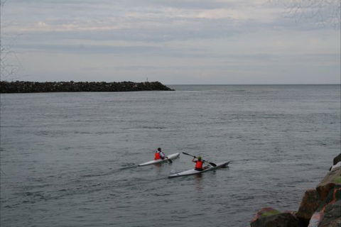 NRMA Port Macquarie Breakwall Holiday Park - Accommodation Georgetown 7