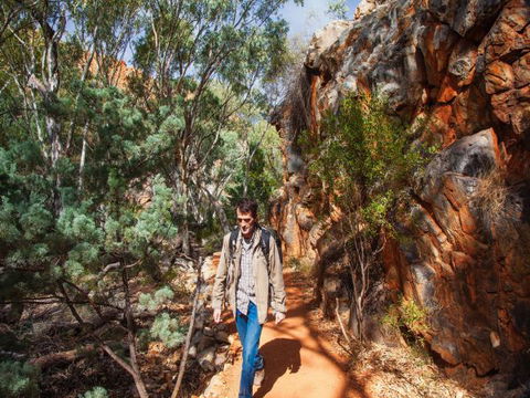 Standley Chasm Angkerle Camping - Accommodation Georgetown 3