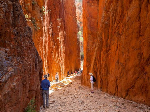 Standley Chasm Angkerle Camping - Accommodation Georgetown 4