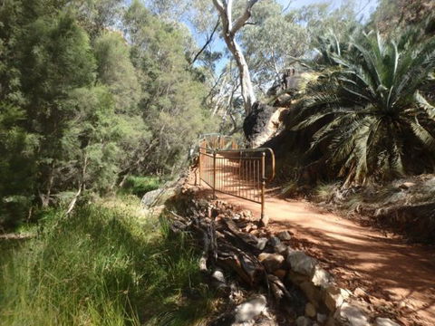 Standley Chasm Angkerle Camping - Accommodation Georgetown 7