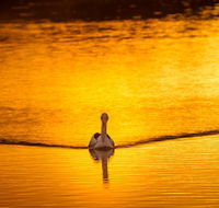 River Shack Rentals - Living the Dream - Accommodation Georgetown