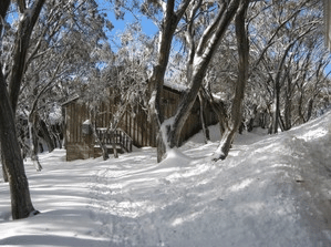 Akla Ski Lodge - Accommodation Georgetown