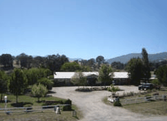 Merrijig Motor Inn - Accommodation Georgetown 1