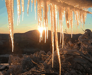 Burnt Hut - Accommodation Georgetown
