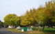 BIG4 Dandenong Tourist Park - thumb 2