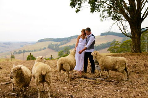 Halcyon Cottage Retreat - Self Contained Accommodation - Accommodation Georgetown 2