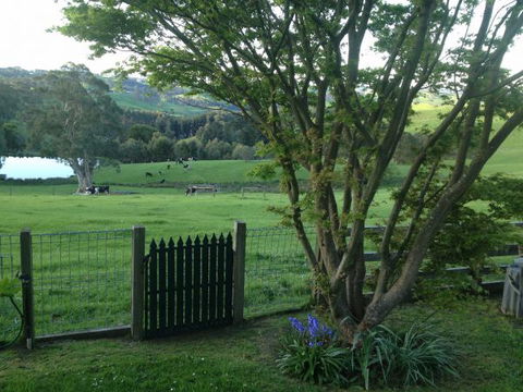 Halcyon Cottage Retreat - Self Contained Accommodation - Accommodation Georgetown 7