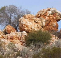 Credo Homestead Camp at Credo Conservation Park - Accommodation Georgetown