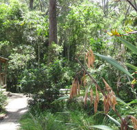 Dunns Creek Downs Nature Stay - Accommodation Georgetown