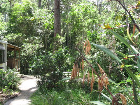Dunns Creek Downs Nature Stay - Accommodation Georgetown 0