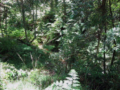 Dunns Creek Downs Nature Stay - Accommodation Georgetown 2