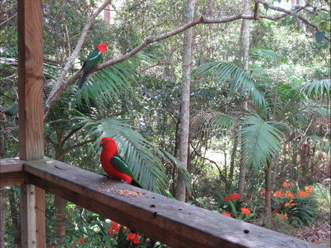 Dunns Creek Downs Nature Stay - Accommodation Georgetown 4