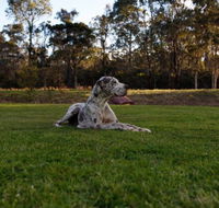 Hunter Valley Retreat - Accommodation Georgetown