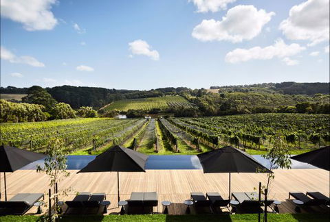 Jackalope Mornington Peninsula - Accommodation Georgetown 4
