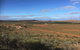 Mount Ive - thumb 1