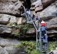 Takarakka Bush Resort Carnarvon Gorge - Accommodation Georgetown