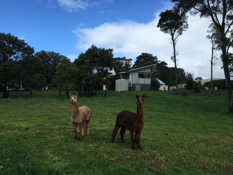 The Old Drik Drik Schoolhouse Retreat - Accommodation Georgetown 5