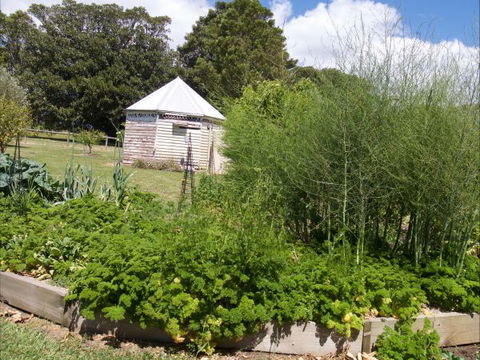 The Old Drik Drik Schoolhouse Retreat - Accommodation Georgetown 6