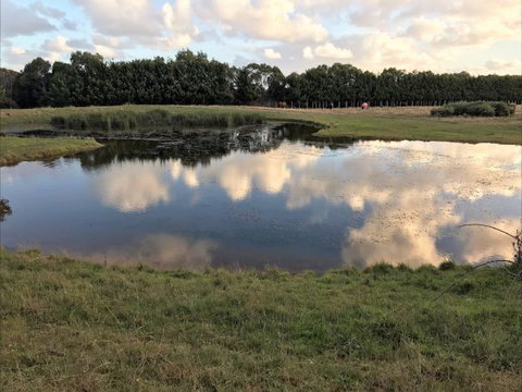 Woodbyne Resort - Accommodation Georgetown 2